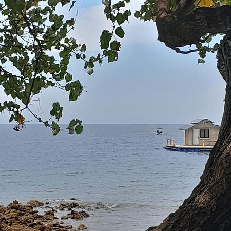 La Paparrucha Bali Bed & Breakfast เปมูเตรัน ภายนอก รูปภาพ